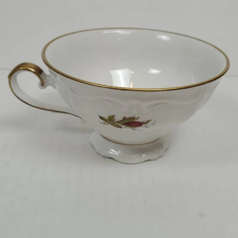 Gorgeous W.Eschenbach Briar Rose Fine China mug